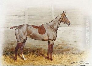 A Clipped Chestnut Hunter Mare 
In A Loose Box, And Another, A Clipped Chestnut Gelding In A Loose Box, A
 Pair