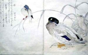 Two wild ducks and a common Kingfisher, from an album Birds compared in Humorous Songs, 1791 by Kitagawa Utamaro