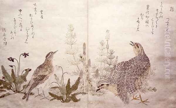 Pair of Quail and grasses on the right and a Skylark amid grasses on the left, from an album Birds compared in Humorous Songs, 1791 - view 1