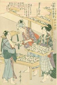 The cocoon stage, no.6 from Joshoku kaiko tewaza-gusa, c.1800 by Kitagawa Utamaro