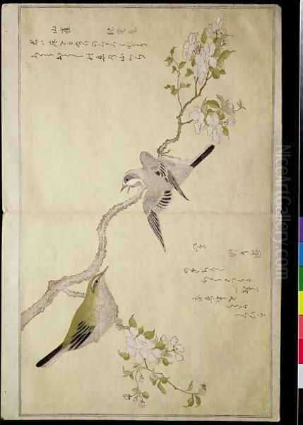 Tit on a bough on the right and a Bush-warbler on a branch on the left, from an album Birds compared in Humorous Songs, 1791 - view 1
