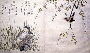 Wren and a pair of Snipe, from an album Birds compared in Humorous Songs, 1791 by Kitagawa Utamaro