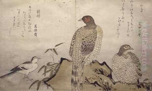 Two Copper Pheasants and a Wagtail, from an album Birds compared in Humorous Songs, 1791 - view 1