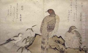 Two Copper Pheasants and a Wagtail, from an album Birds compared in Humorous Songs, 1791 by Kitagawa Utamaro