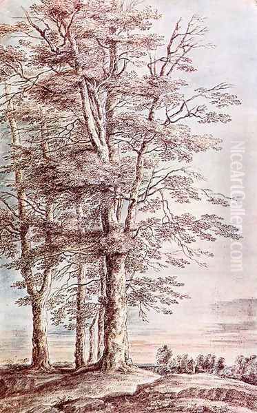 Landscape With Tall Trees - view 1