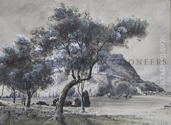 Landscape - view 1