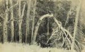 Blizzard. Broken Tree In The Forest by Leon Wyczolkowski