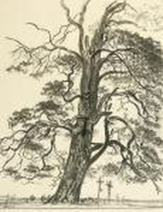 Pine And Graves by Leon Wyczolkowski