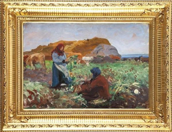 Kopanie Burakow - view 1