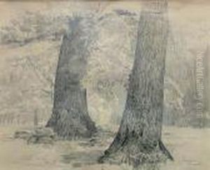 Fragment Borow Tucholskich. Uroczysko Odry