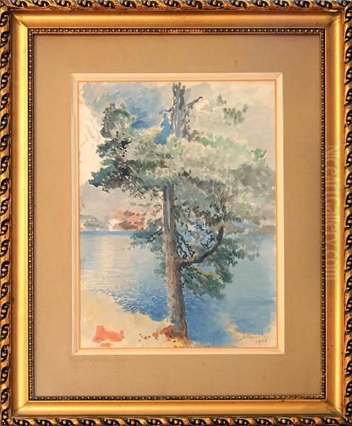 Limba W Tatrach, 1920 R. - view 1