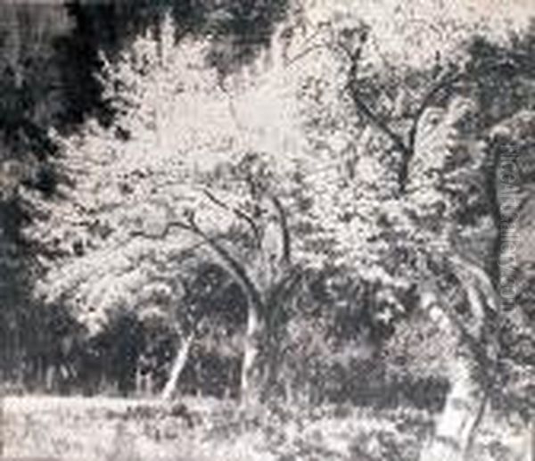 Kwitnace Jablonie W Goscieradzu, 1933 R. - view 1
