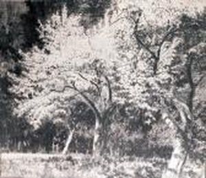 Kwitnace Jablonie W Goscieradzu, 1933 R. by Leon Wyczolkowski