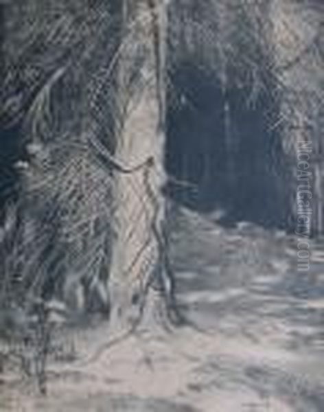 Swierk W Sloncu - view 1