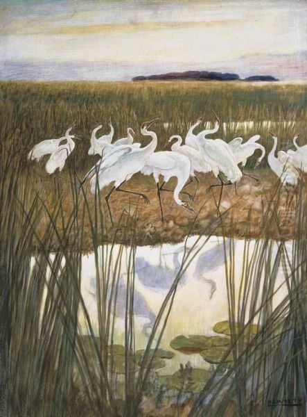 The Dance Of The Whooping Cranes - view 1