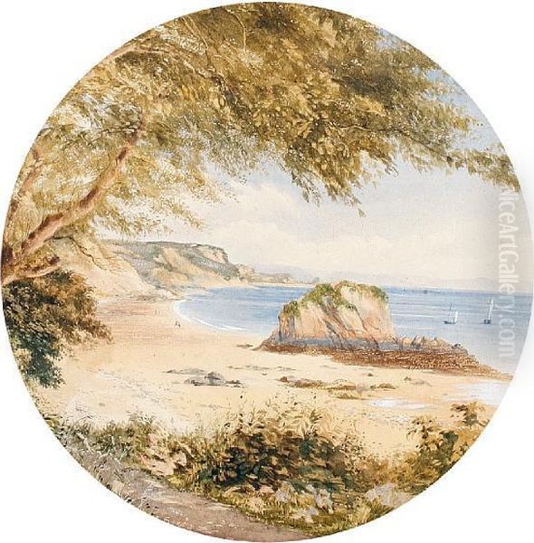 A View Of The Devon Coastline - view 1