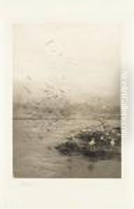 Gulls by William Lionel Wyllie