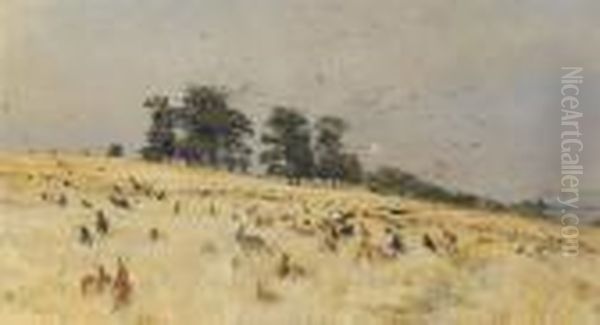A Rookery - view 1