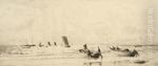 Cobles At Newbiggin, Northumberland - view 1