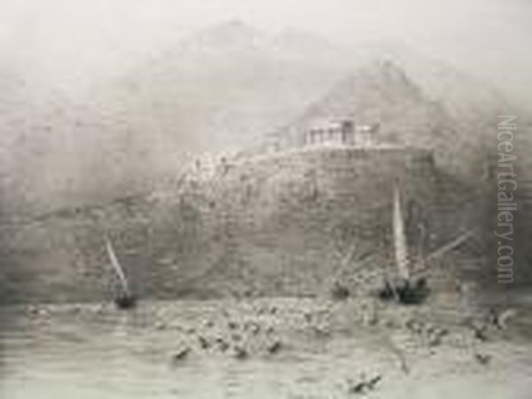 Seabirds Swooping Before Classical Ruins - view 1