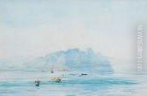 Cape De Gallo
