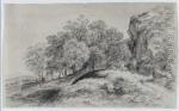 Baumbestandene - view 1