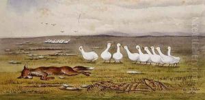 A Game of Fox and Geese by James W. Usher