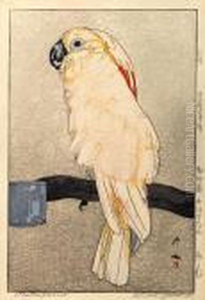 Obatan Parrot - view 1
