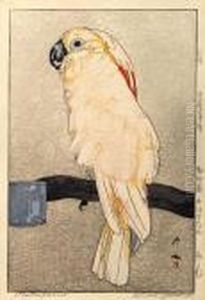 Obatan Parrot by Hiroshi Yoshida