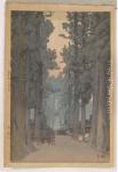 Cryptomeria Avenue - view 1