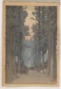 Cryptomeria Avenue