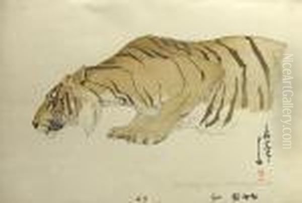 Sketch Of Tiger - view 1