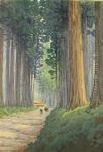 Avenue Of Cryptomeria In Nikko