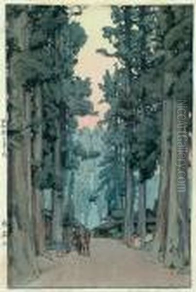 Cryptomeria Avenue - view 1
