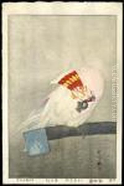 Major Mitchell's Cockatoo - view 1