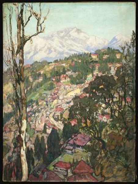 Darjeeling - view 1