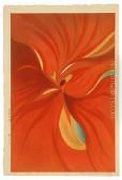 Red Canna - view 1