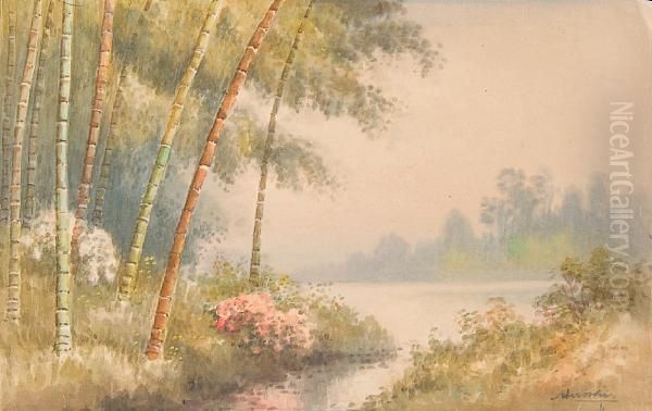 Misty Lakeland Landscape - view 1