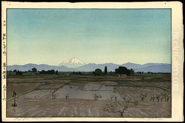 Fuji From Musashino - view 1