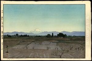 Fuji From Musashino