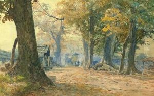 Country Road In Autumn