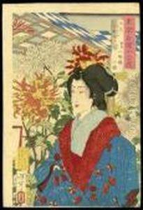 Kozakura By Chrysanthemums At Sendagi