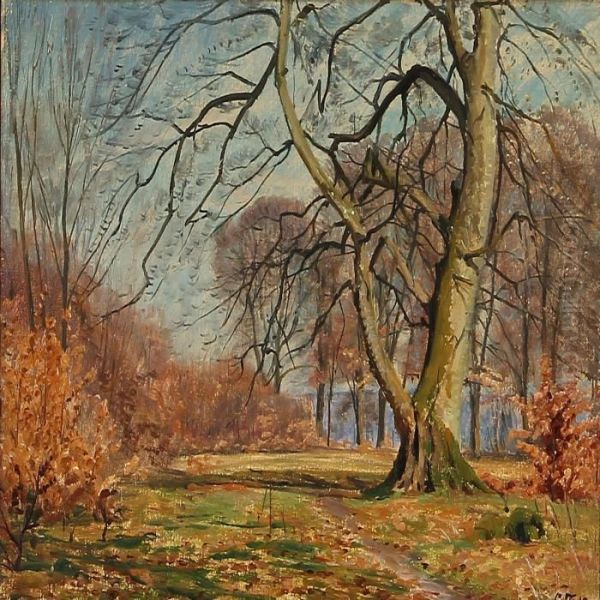Autumn Day In The Forest - view 1