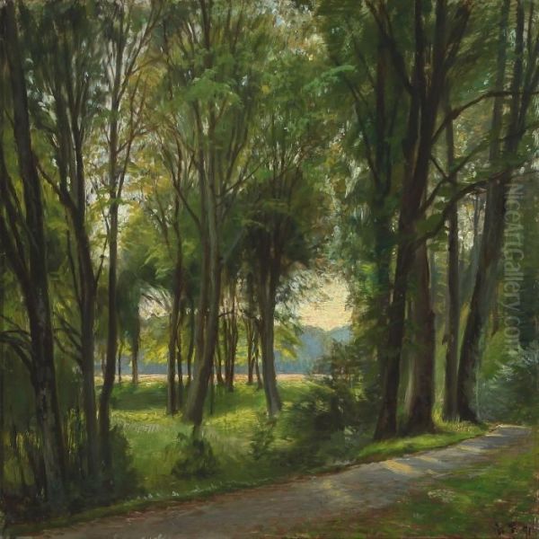 Landscape With Path Through A Forest - view 1