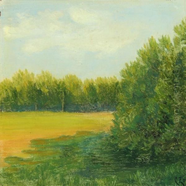 Summer Landscape - view 1