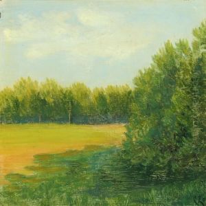 Summer Landscape Summer Landscape