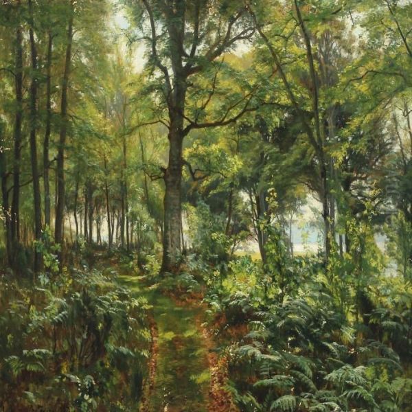 Forest Scenery With Ferns - view 1