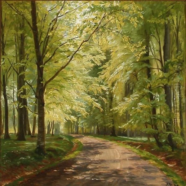 Summer Day At A Road In The Forest - view 1
