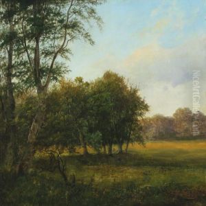 Summer's Day In The Forest by Christian Zacho