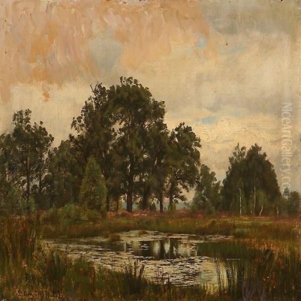 Mose I Fontainebleauskov - view 1